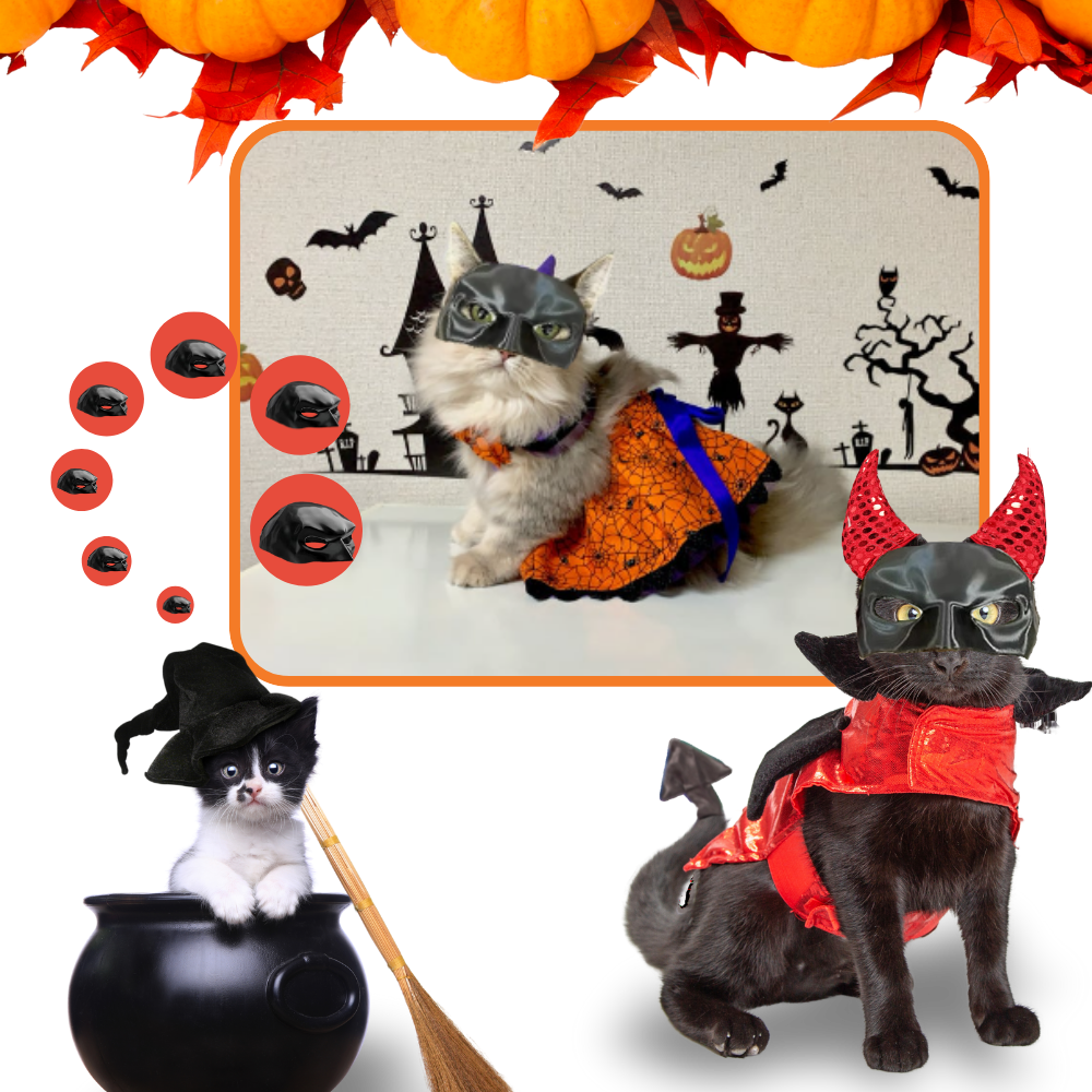 Bedårende Batman-maske til katte - Ozerty