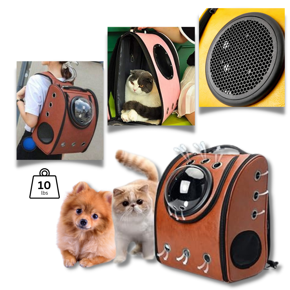 Rejserygsæk til katte
- Ozerty