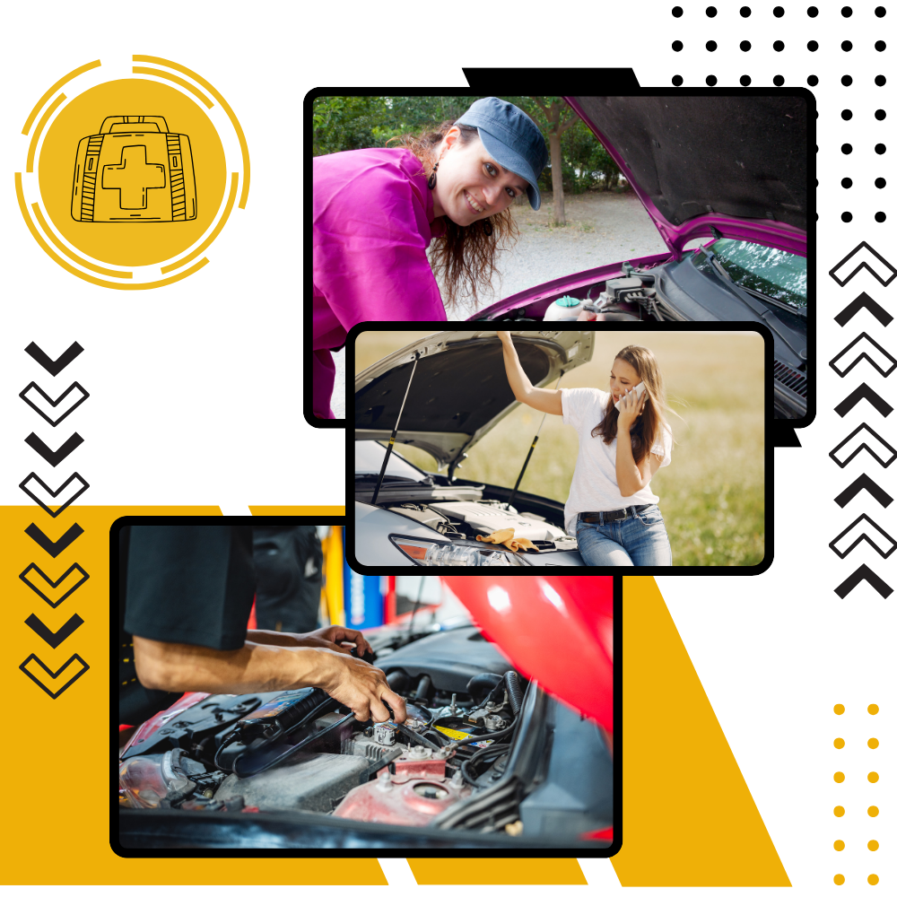 Komplet bilnitte-sæt - Ozerty