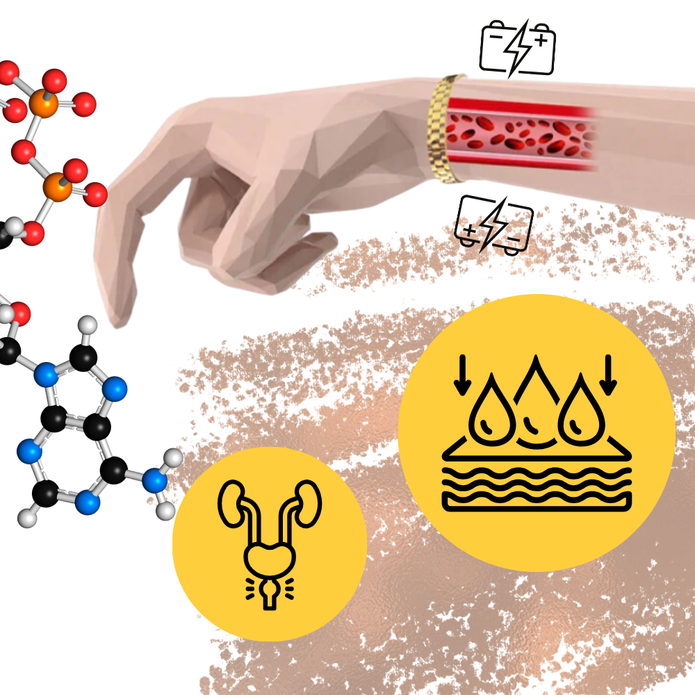 Magnetisk terapeutisk kobberarmbånd
- Ozerty