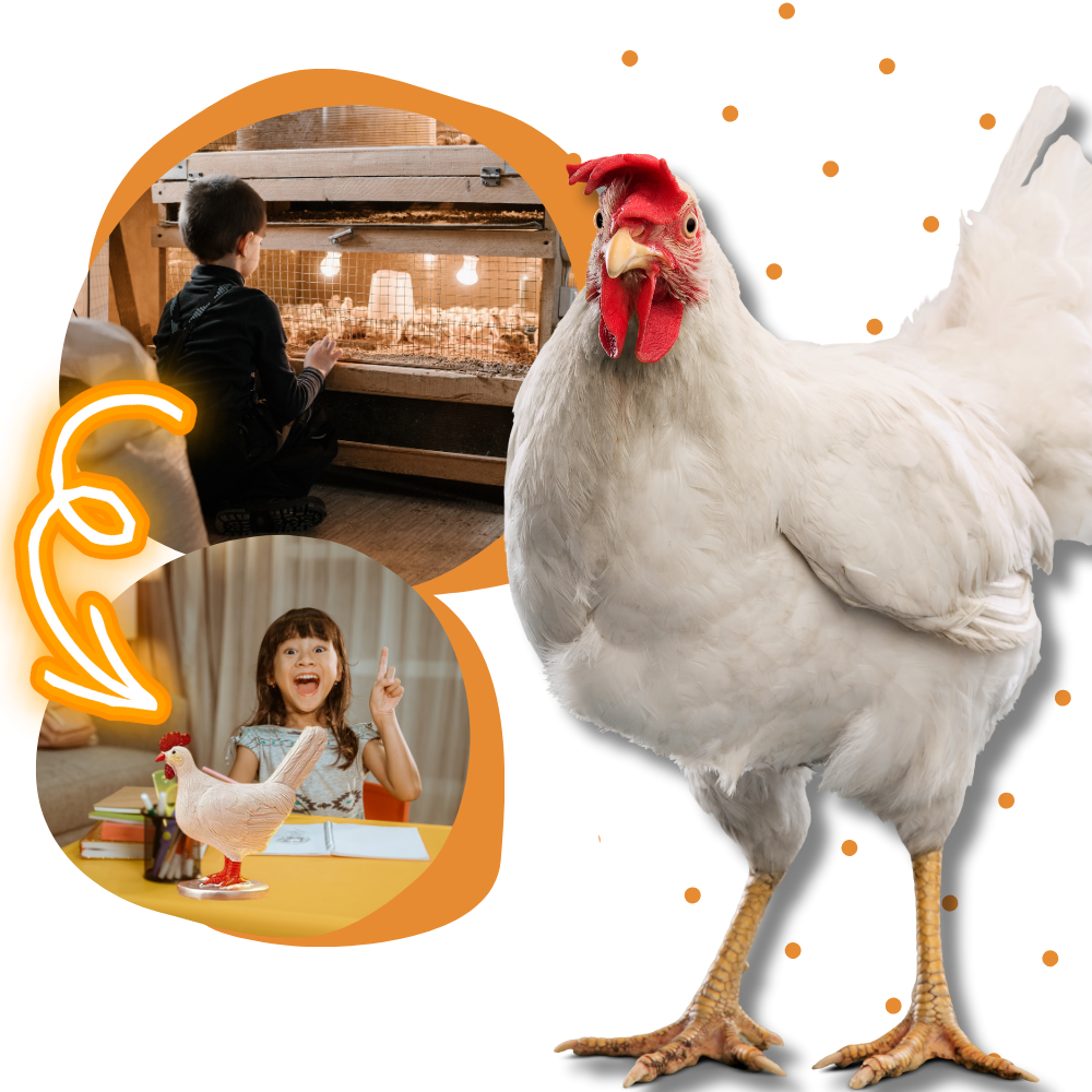 Hyggelig lampe med hønseæg
- Ozerty