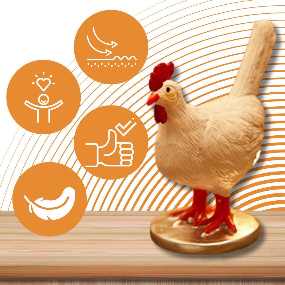 Hyggelig lampe med hønseæg
- Ozerty