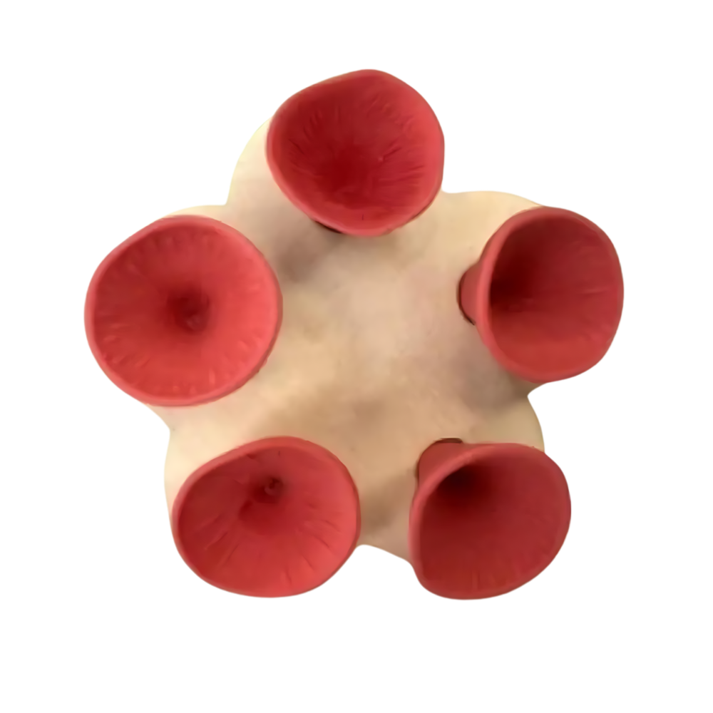 Diskret kop med tiltrækkende farve til bier
-Rød - Ozerty