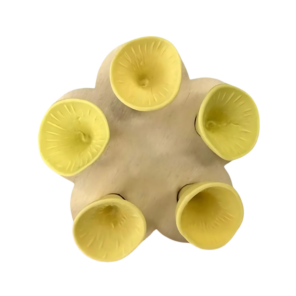 Diskret kop med tiltrækkende farve til bier
-Gul - Ozerty