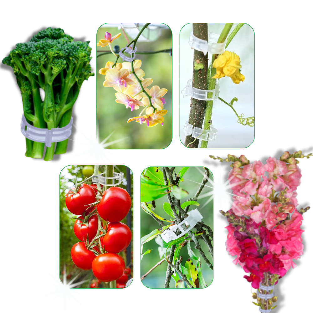 Let anvendelig clips til plantestøtte
- Ozerty