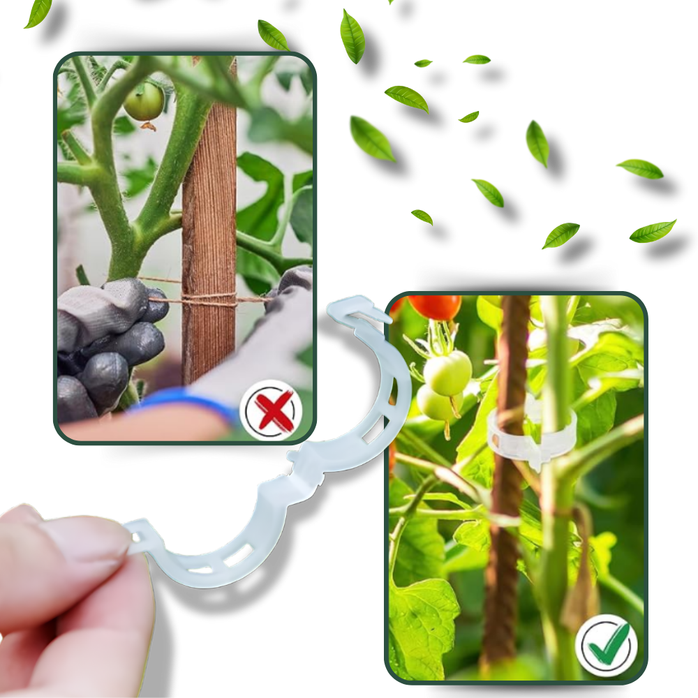 Let anvendelig clips til plantestøtte
- Ozerty