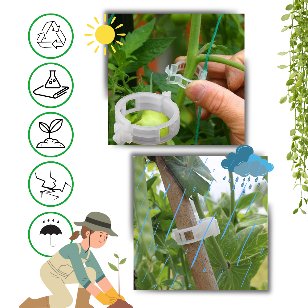 Let anvendelig clips til plantestøtte
- Ozerty