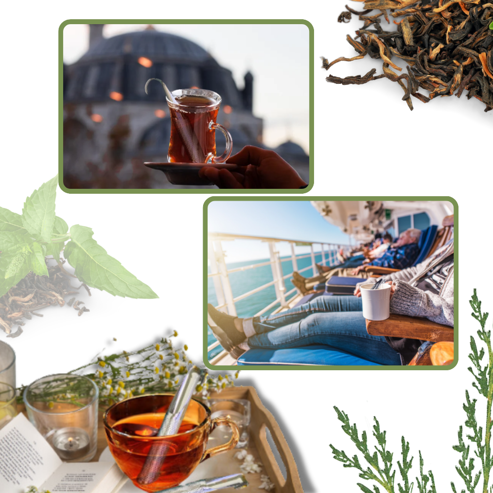 Tesi i rustfrit stål med fint trådnet
- Ozerty