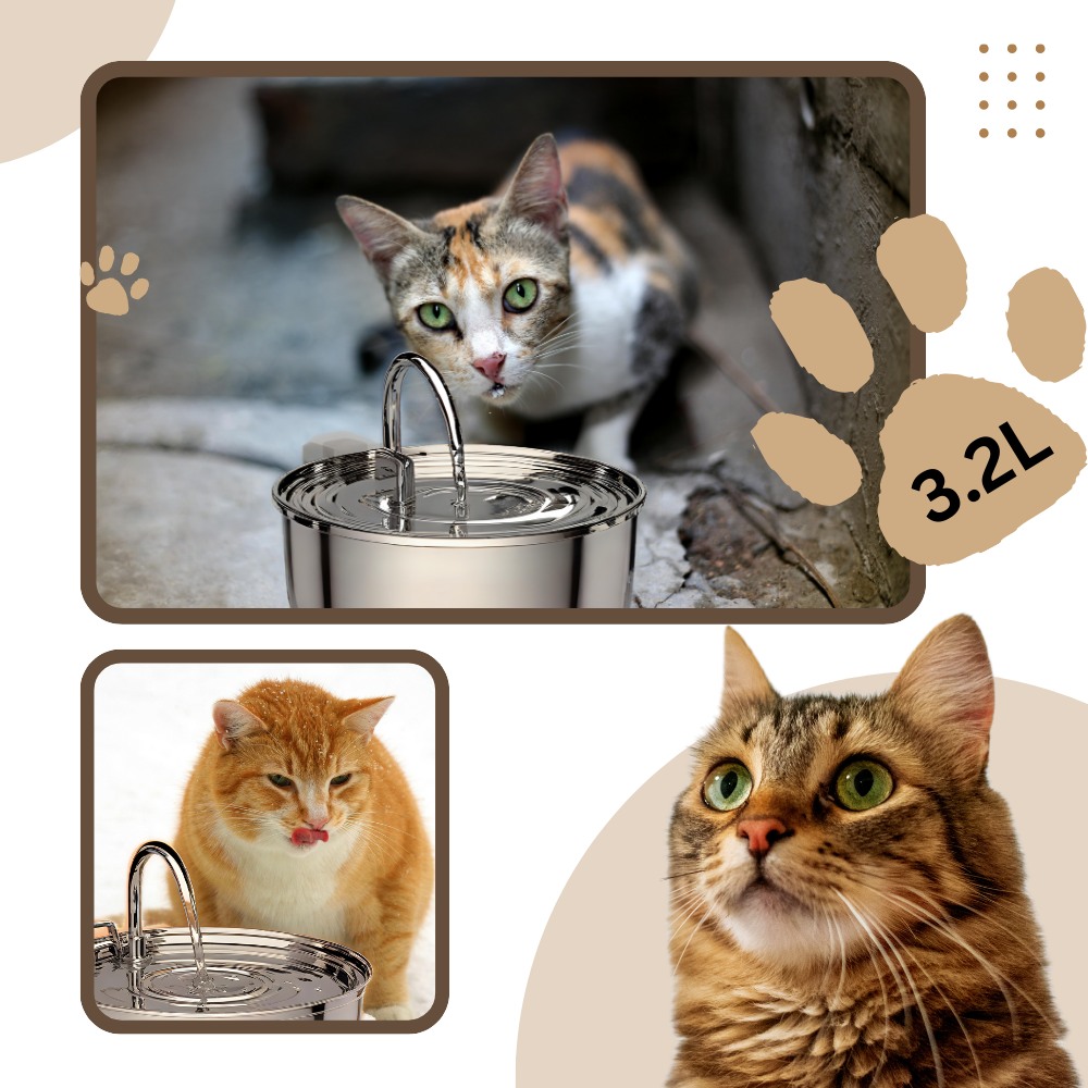 Drikkefontæne med stor kapacitet til katte - Ozerty