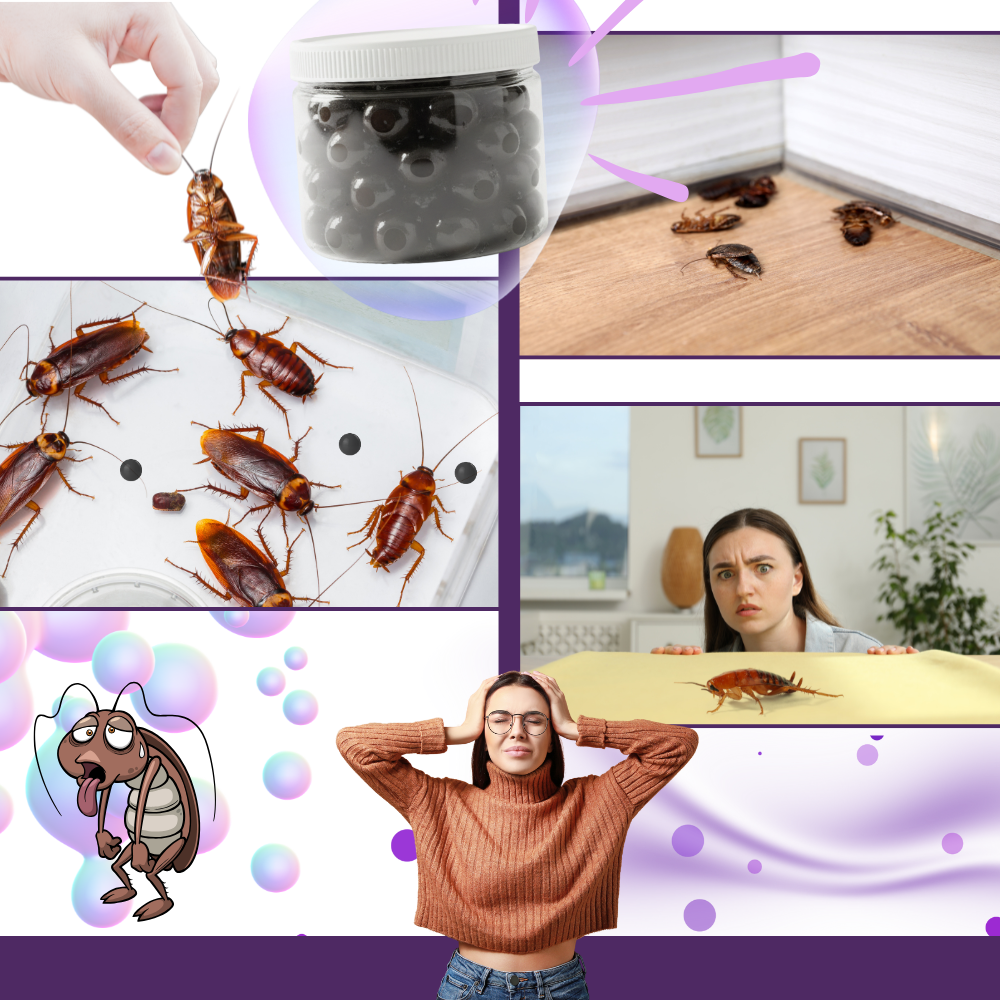 Lavendel-perler mod Kakerlakker - Ozerty