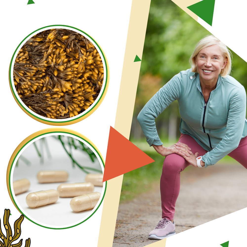 Marine Urte Supplement - Ozerty