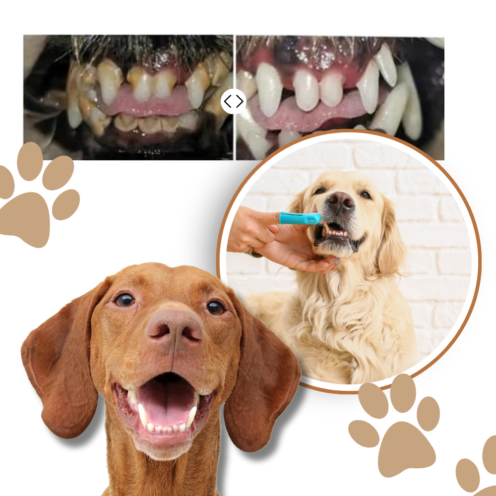 Naturlig oral reparationsgel til kæledyr - Ozerty