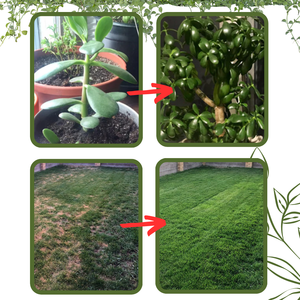 Organiske næringsstoffer jordaktivator - Ozerty