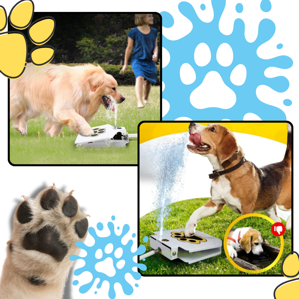 Poteaktiveret vandkilde til hunde
- Ozerty