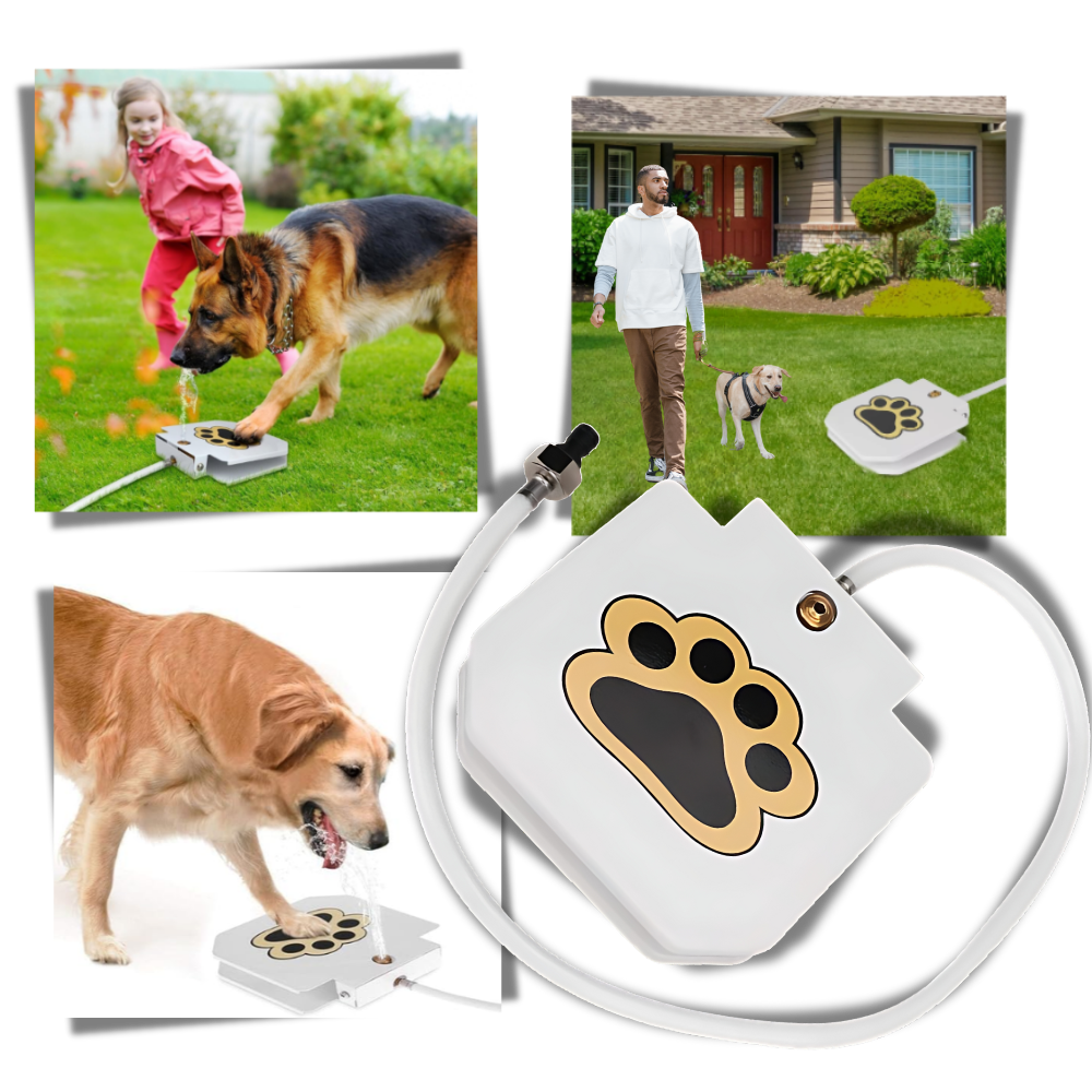 Poteaktiveret vandkilde til hunde
- Ozerty