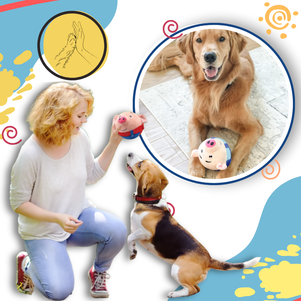 Paw Bounce Sensor Legetøj - Ozerty