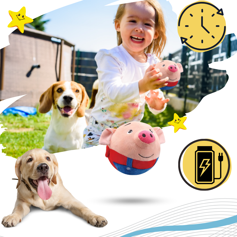 Paw Bounce Sensor Legetøj - Ozerty