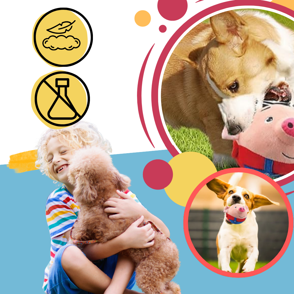 Paw Bounce Sensor Legetøj - Ozerty