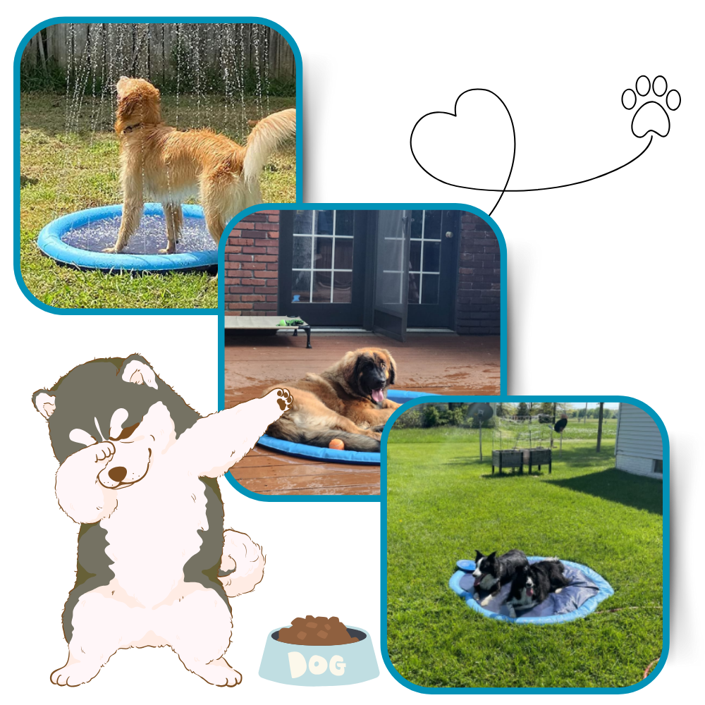 Transportabel sprøjtemåtte til hunde
- Ozerty