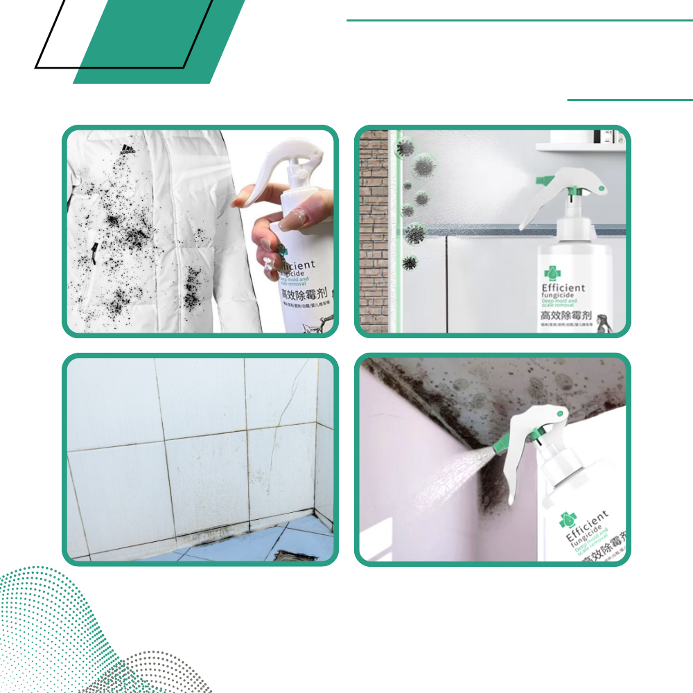 Kraftfuld spray mod skimmelssvamp - Ozerty