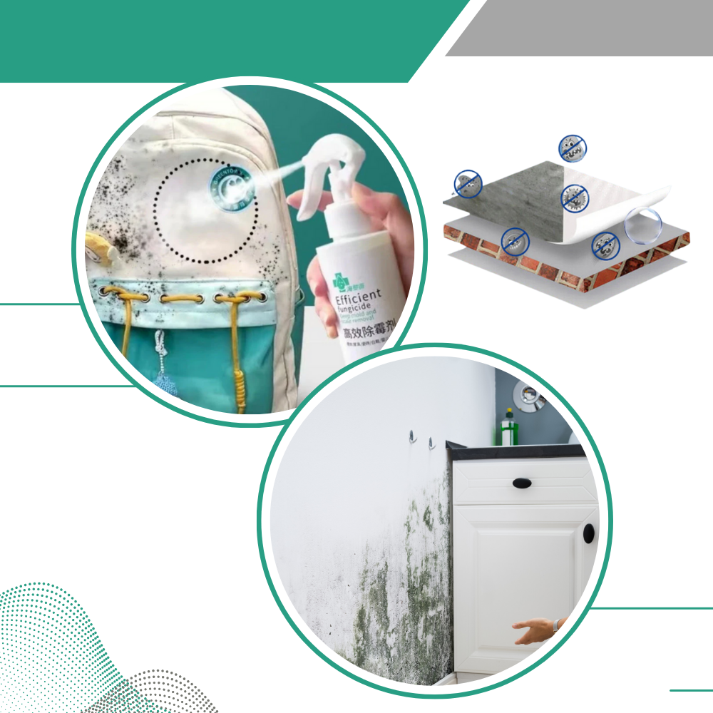 Kraftfuld spray mod skimmelssvamp - Ozerty