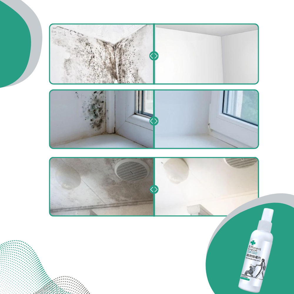 Kraftfuld spray mod skimmelssvamp - Ozerty