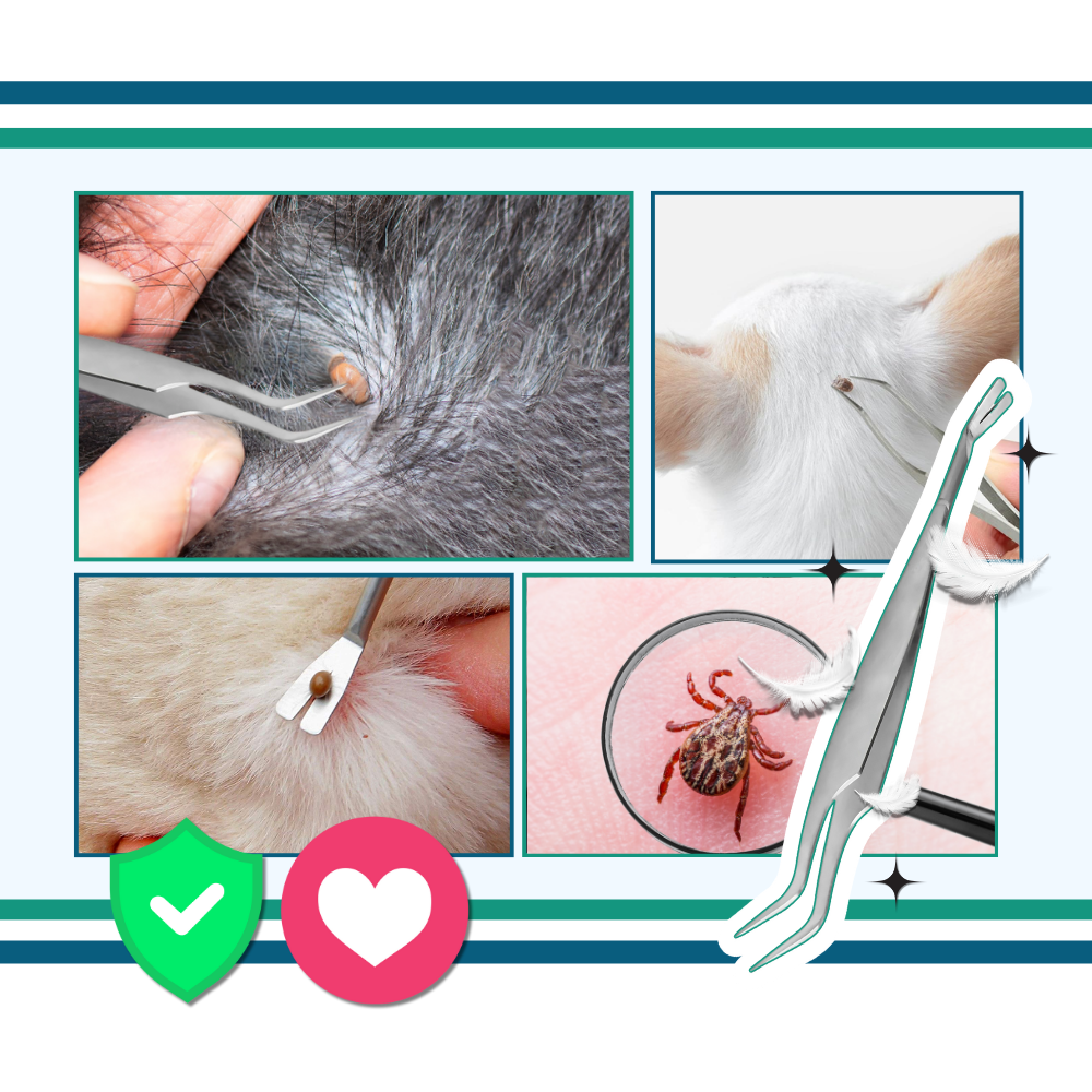 Præcisions Flåt Fjerner - Ozerty