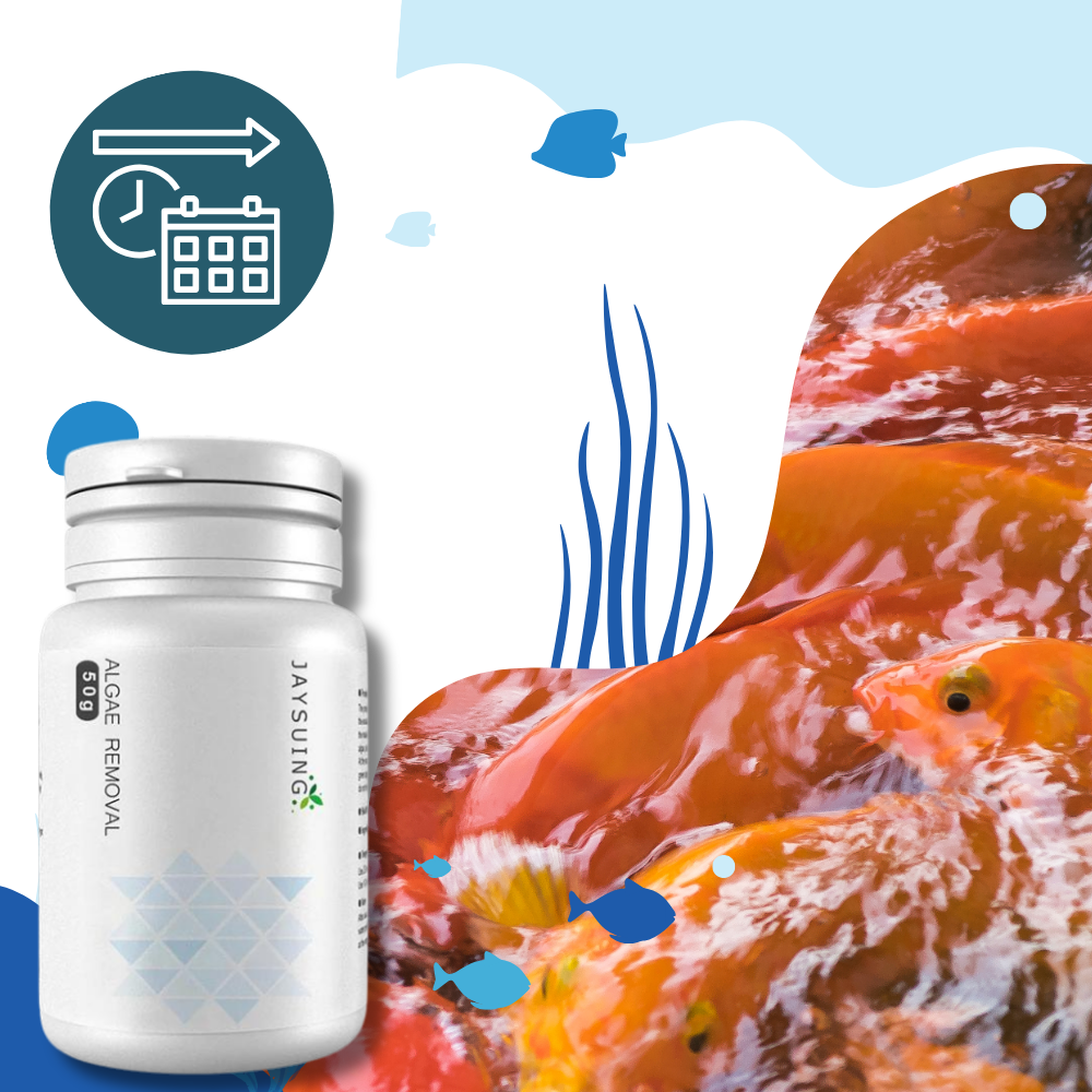 Forebyggende algebekæmpelsesmiddel til akvarier - Ozerty