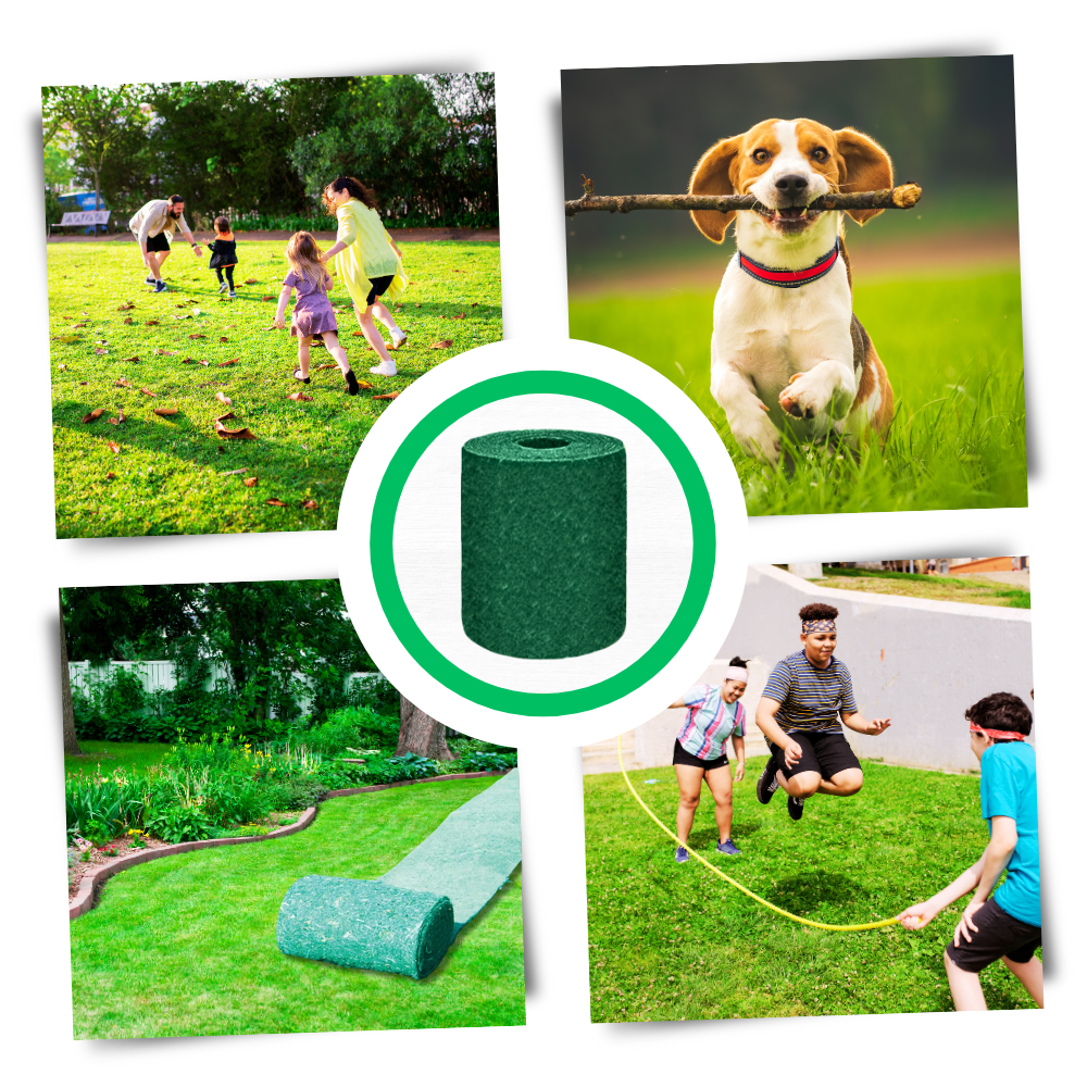 Hurtigvirkende Grønt Græsfrø-tæppe
- Ozerty