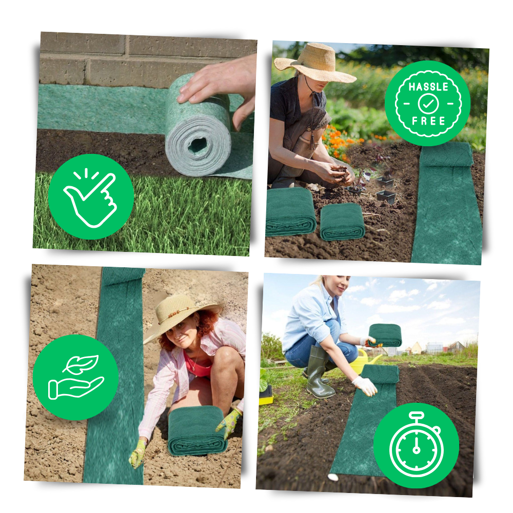 Hurtigvirkende Grønt Græsfrø-tæppe
- Ozerty