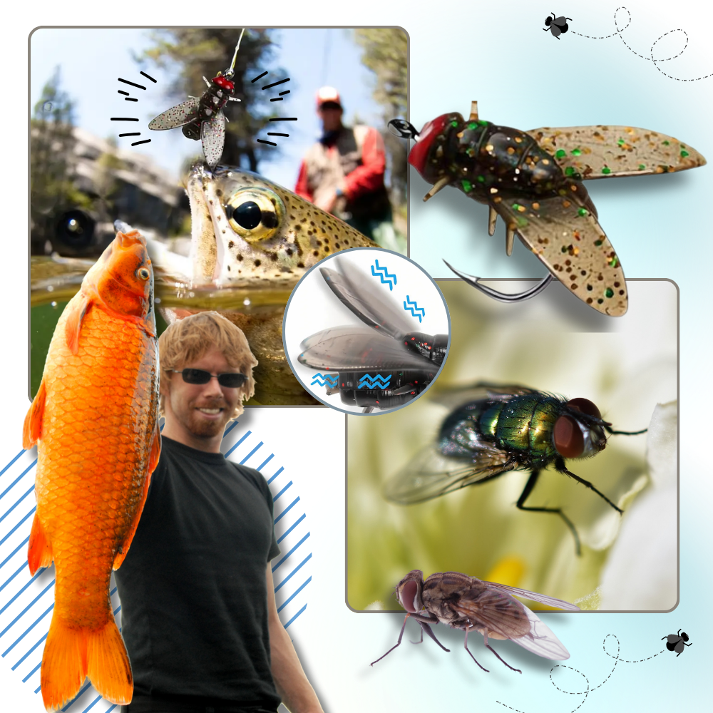 Realistisk Flue Endegrej - Ozerty