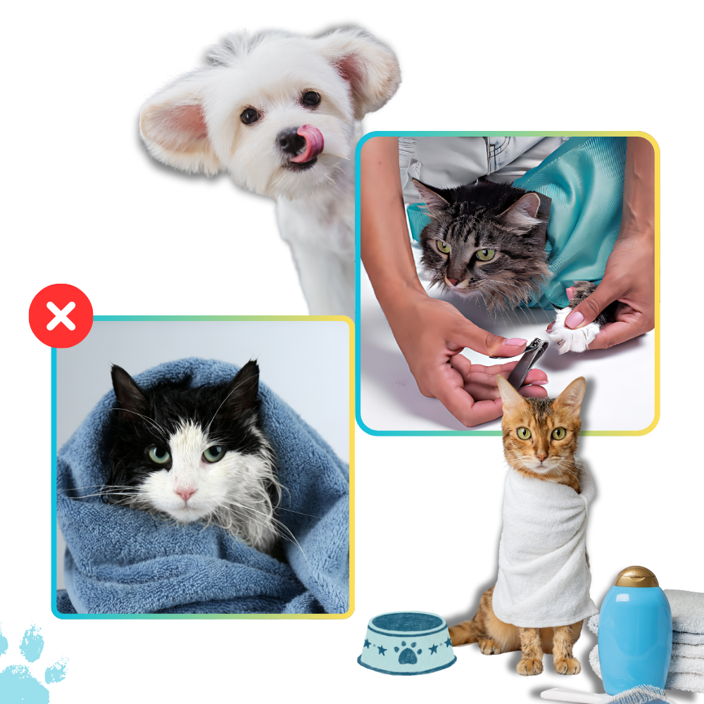 Rejsetaske til katte fra Serene Journey
- Ozerty