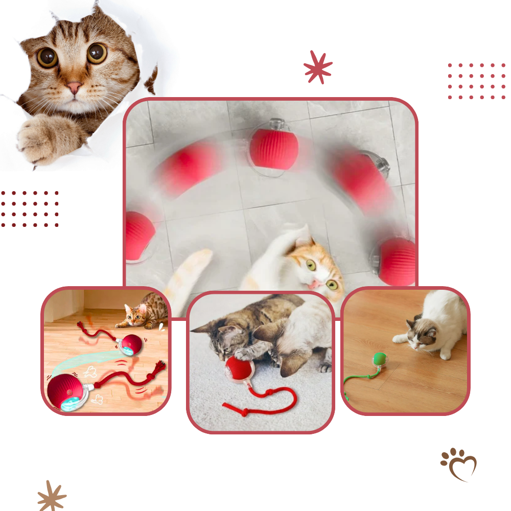 Smart interaktivt boldlegetøj til katte - Ozerty