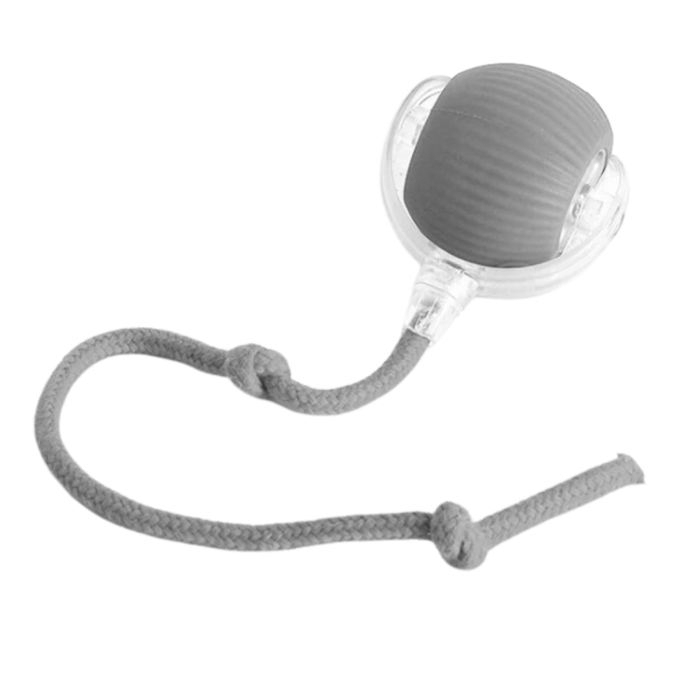 Smart interaktivt boldlegetøj til katte -Grå - Ozerty