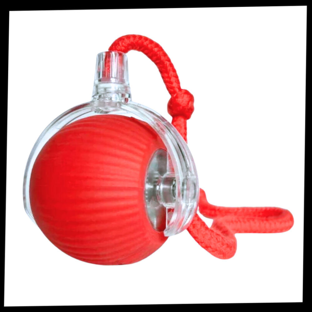 Smart interaktivt boldlegetøj til katte - Ozerty