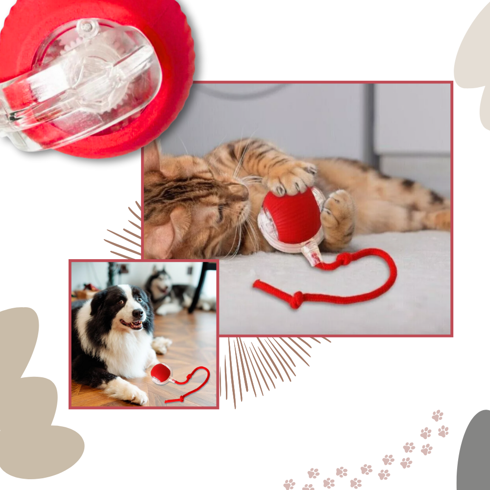 Smart interaktivt boldlegetøj til katte - Ozerty