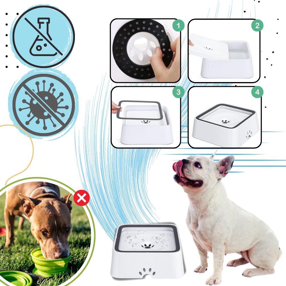 Spildfri Vandskål Til Hunde - Ozerty