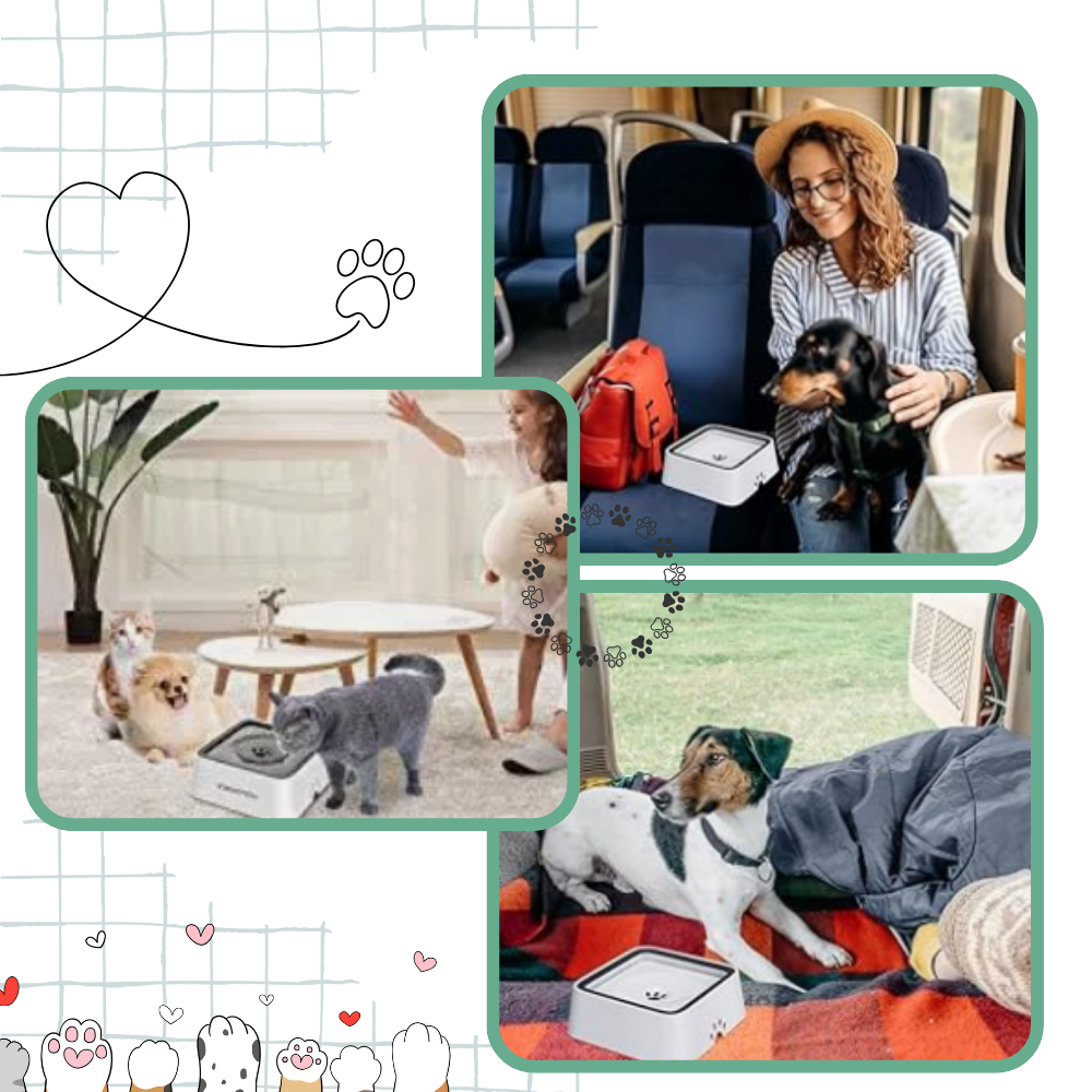 Spildfri Vandskål Til Hunde - Ozerty