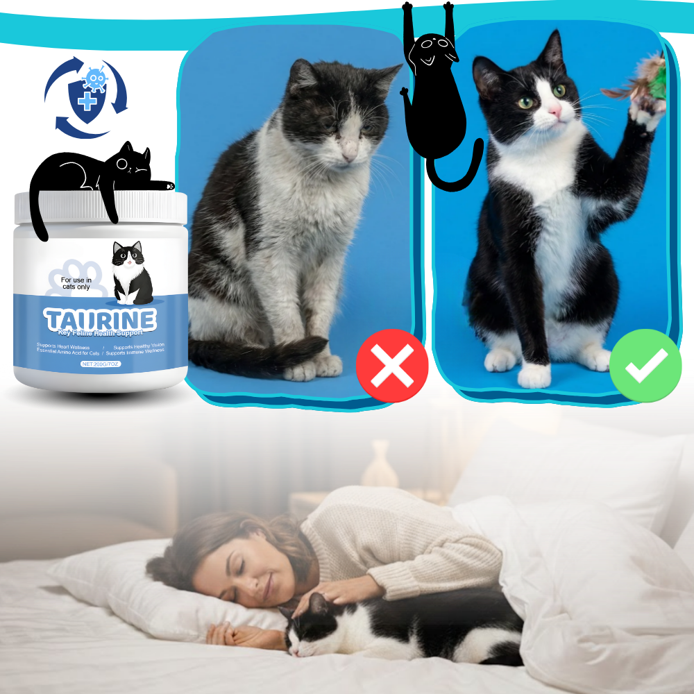 Taurin-tilskud til katte - Ozerty