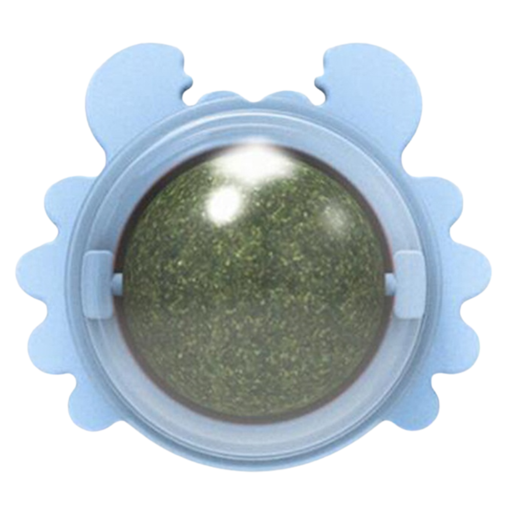 Roterbar myntekuglelegetøj til katte