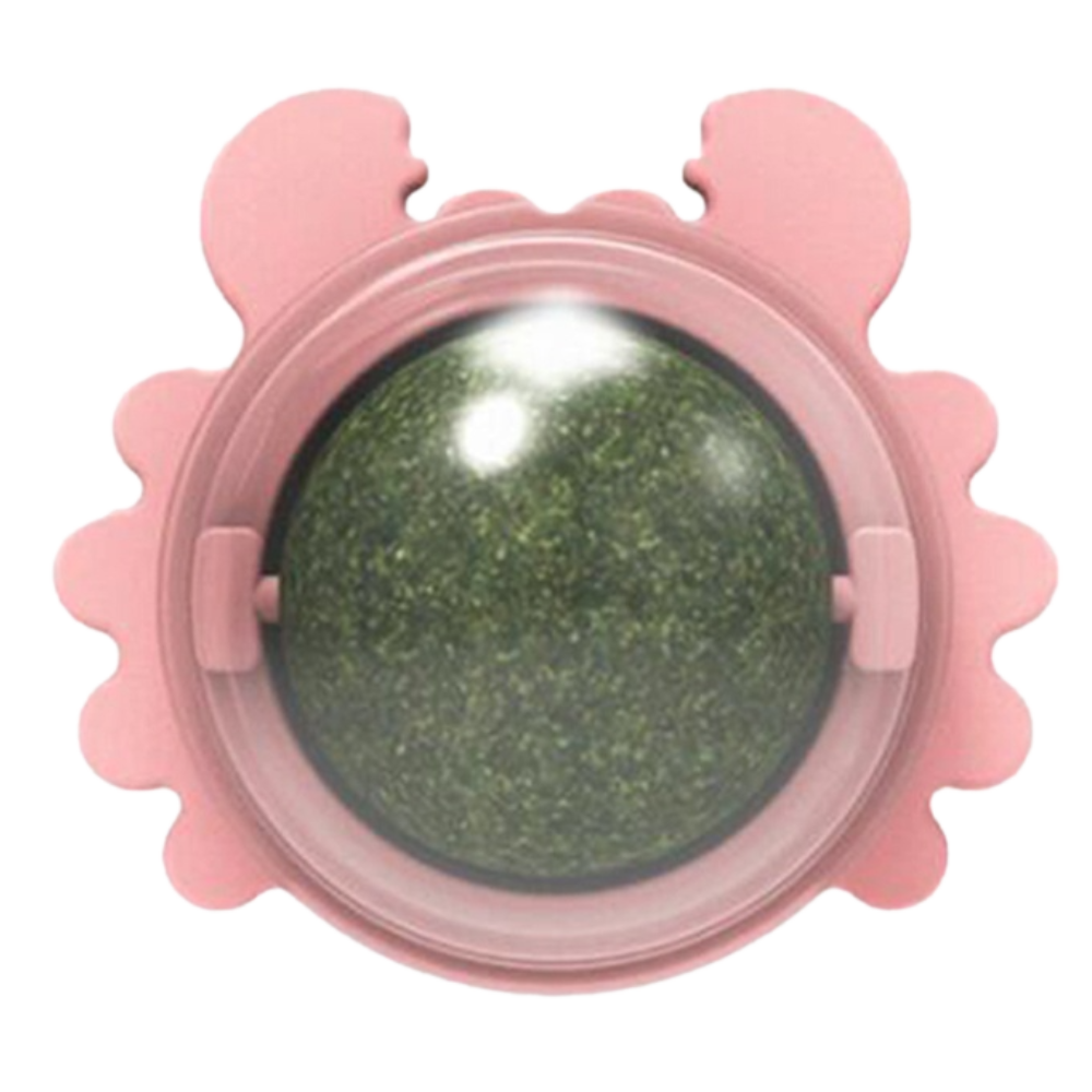 Roterbar myntekuglelegetøj til katte - Ozerty