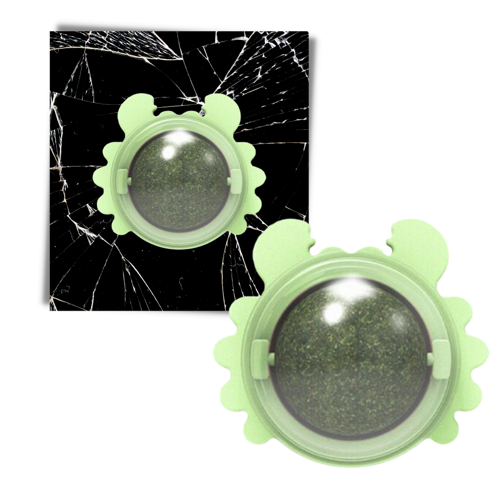 Roterbar myntekuglelegetøj til katte - Ozerty