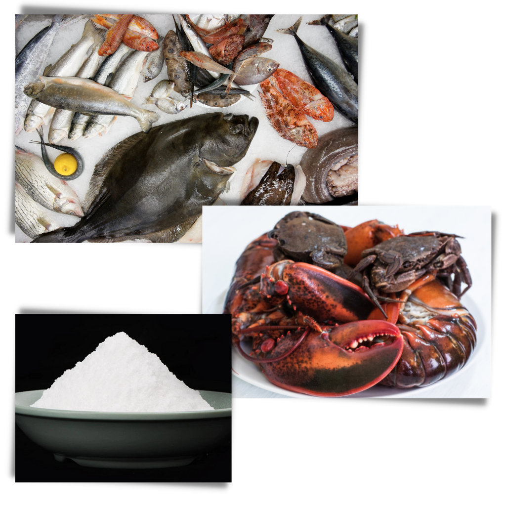 Attraktiv fiskeklokke - Ozerty