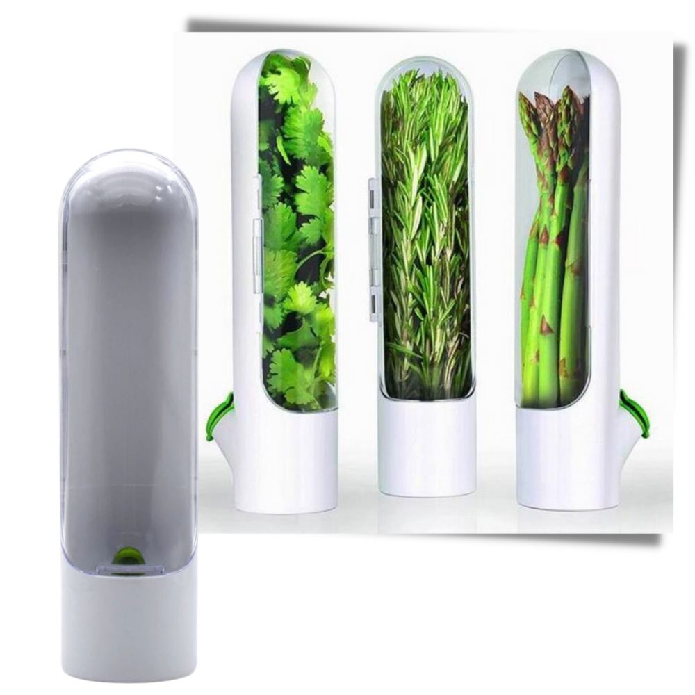 Beholder til opbevaring af friske urter - Ozerty