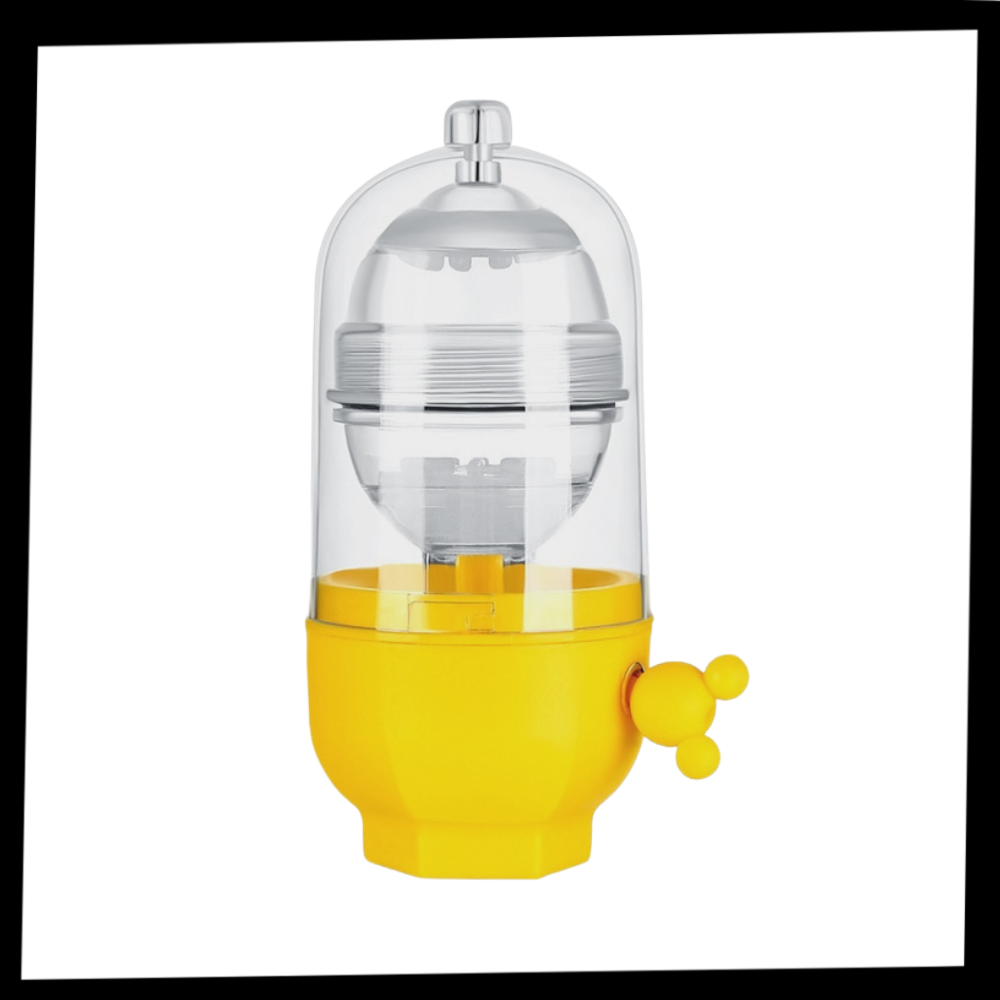 Guldæg fremstiller - Ozerty