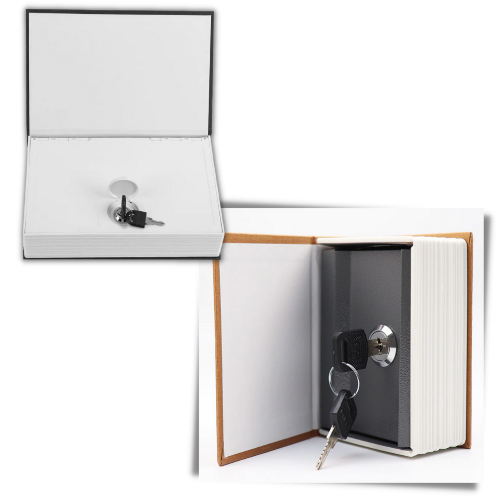 Pengeskab med sikkerhedslås som ordbog - Ozerty