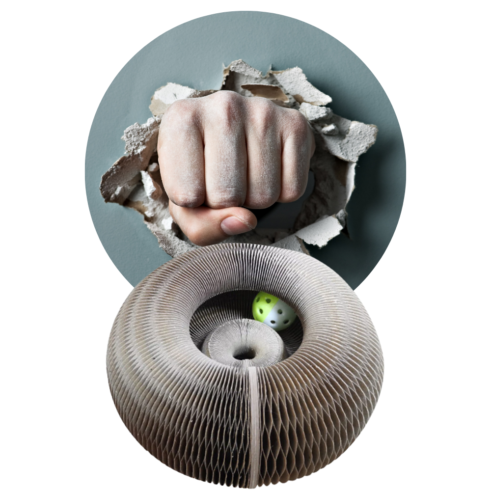 Kradsetavle til katte - Ozerty