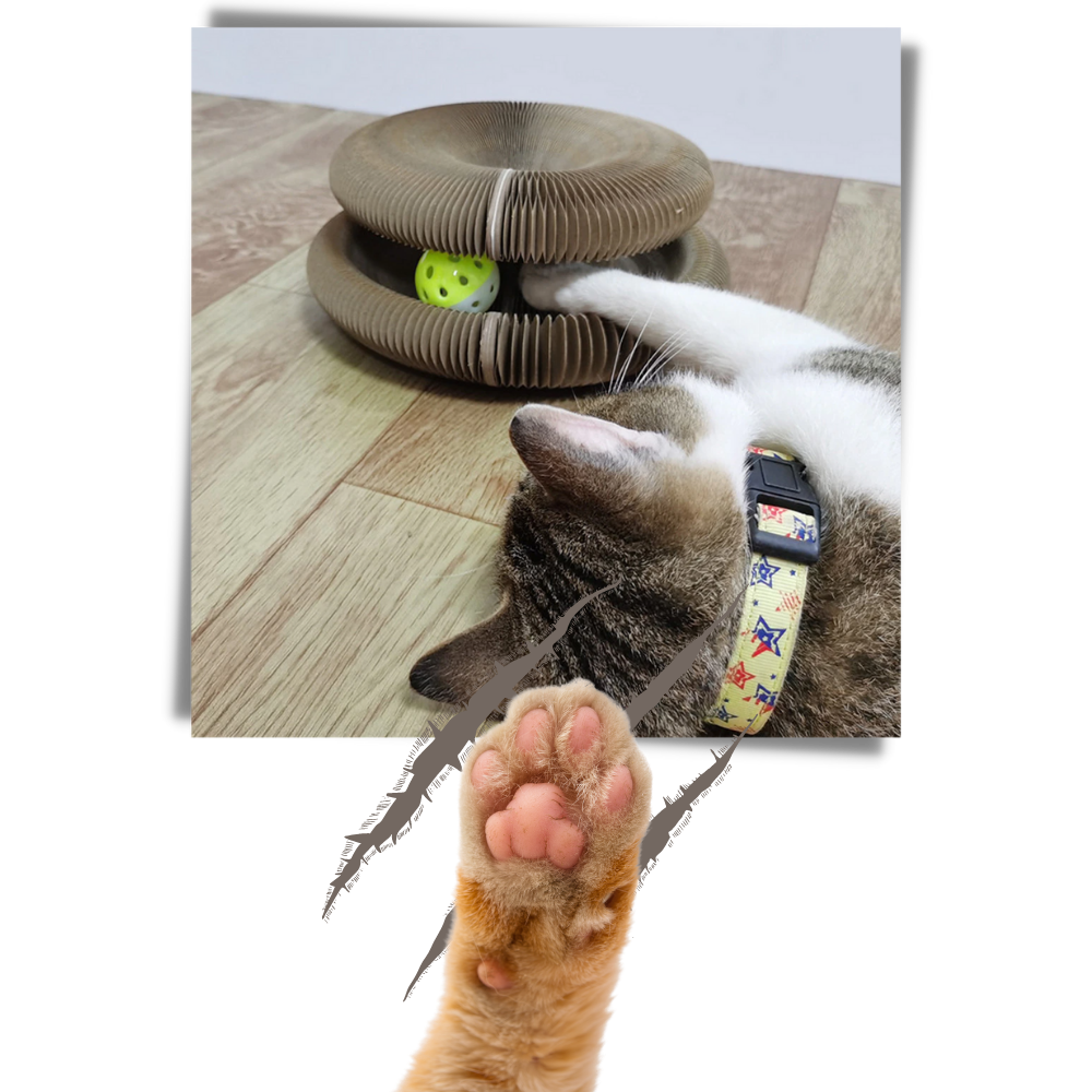 Kradsetavle til katte - Ozerty