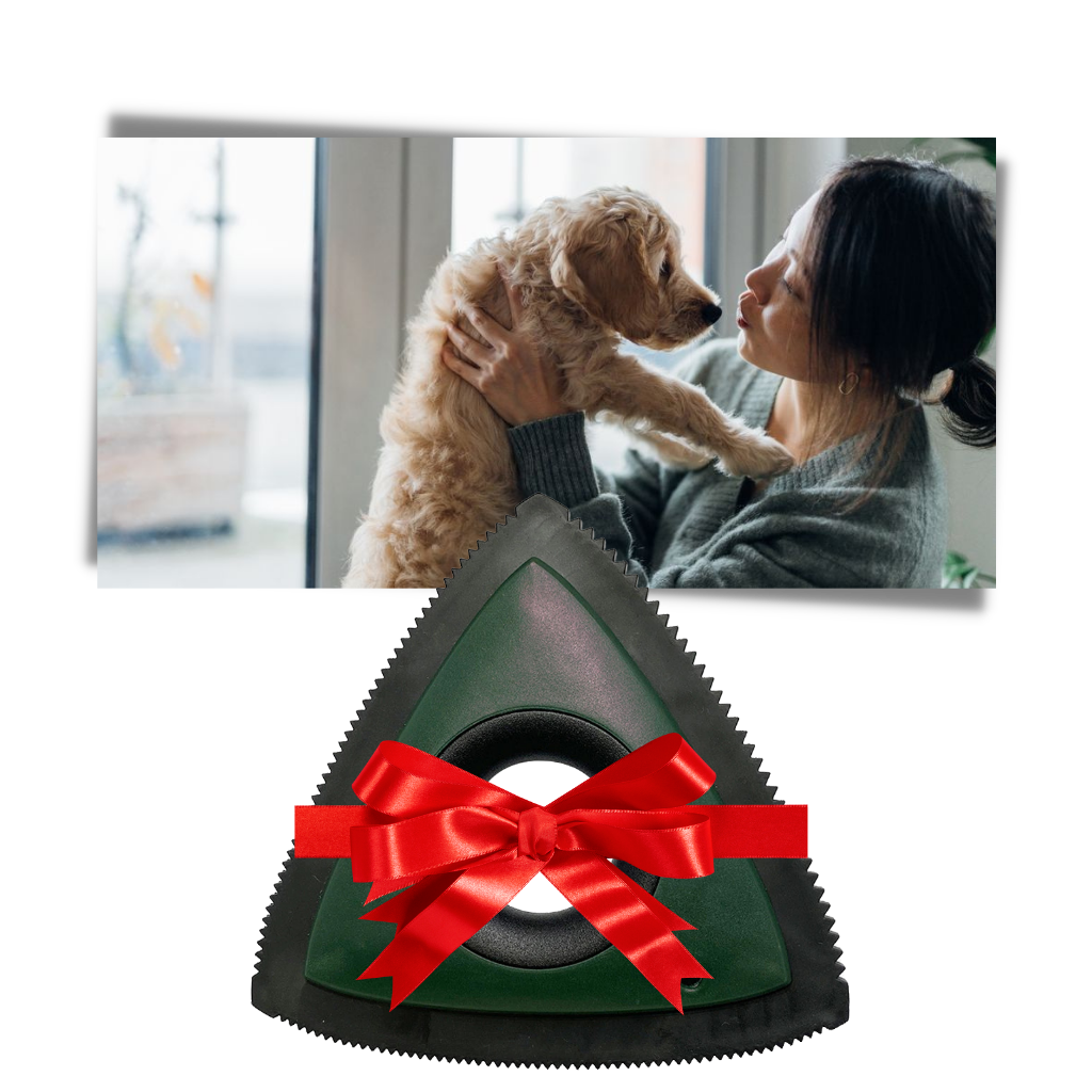 Fremragende hårfjerner til kæledyr - Ozerty