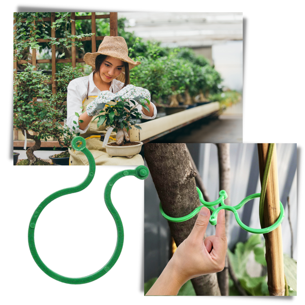 Pakke med klemmer til haveplanter - Ozerty